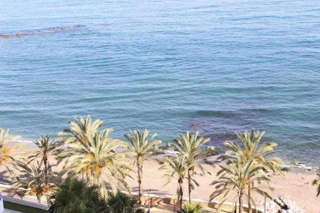 Large Modern Beach Front Apartment, Rooftop Pool!! Marbella Dış mekan fotoğraf
